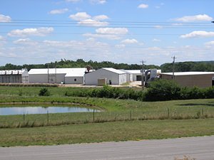 St. Louis Hardwood Company's Local Mill