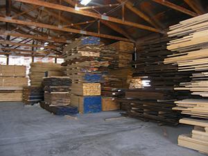 Paulownia Wood & Lumber in St. Louis | St. Charles Hardwoods